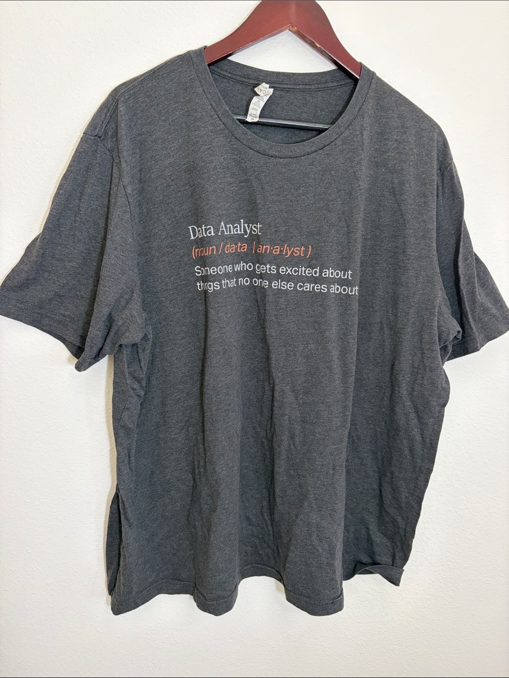 Data Analyst Charcoal Gray Plus Size Graphic Tee